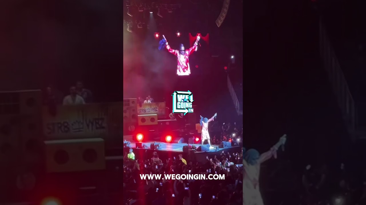 VYBZ KARTEL LIVE IN LONDON AT THE 02 ARENA