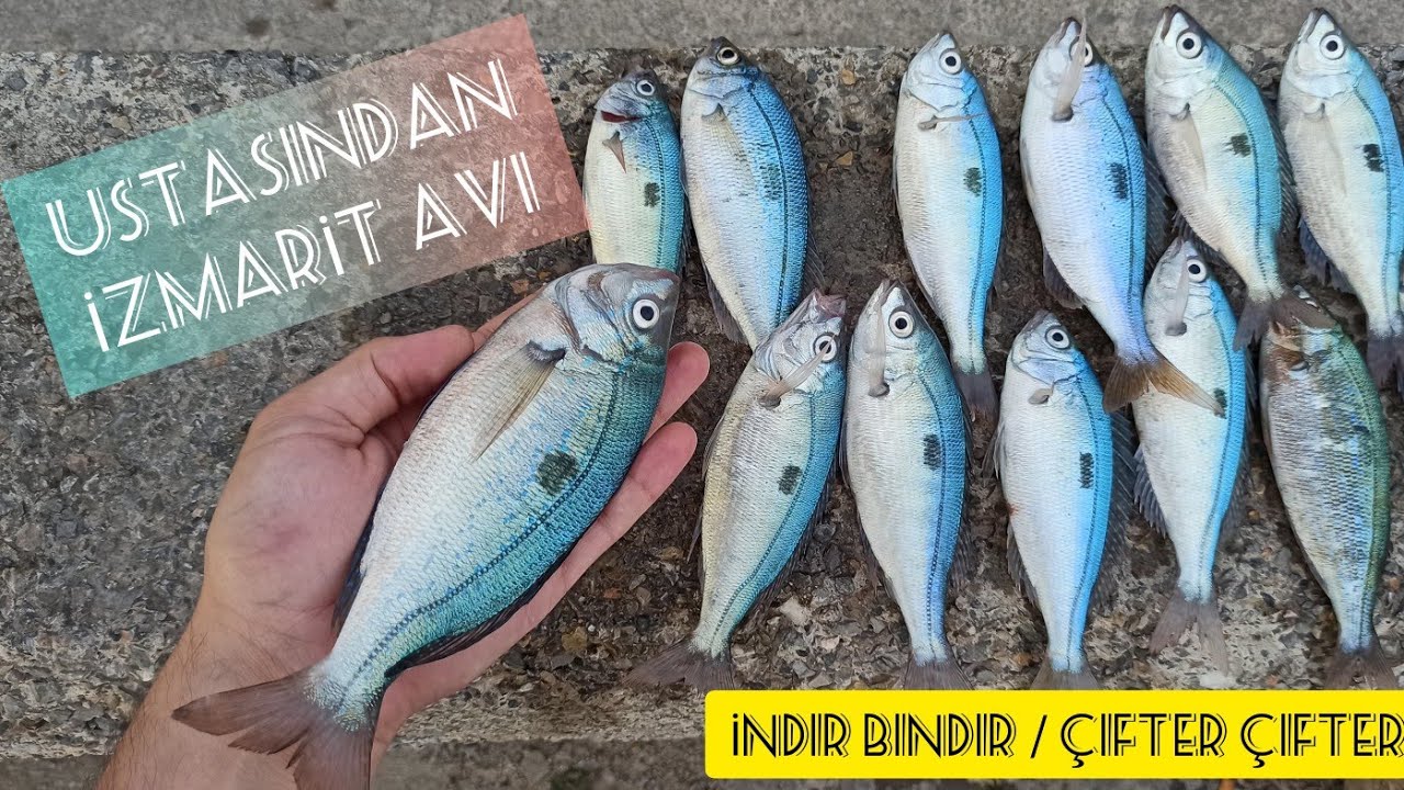 40 Yıllık Ustasından İzmarit Avı  / İzmarit Avı Nasıl Yapılır / İndir Bindir İzmarit Avı 21.06.2021