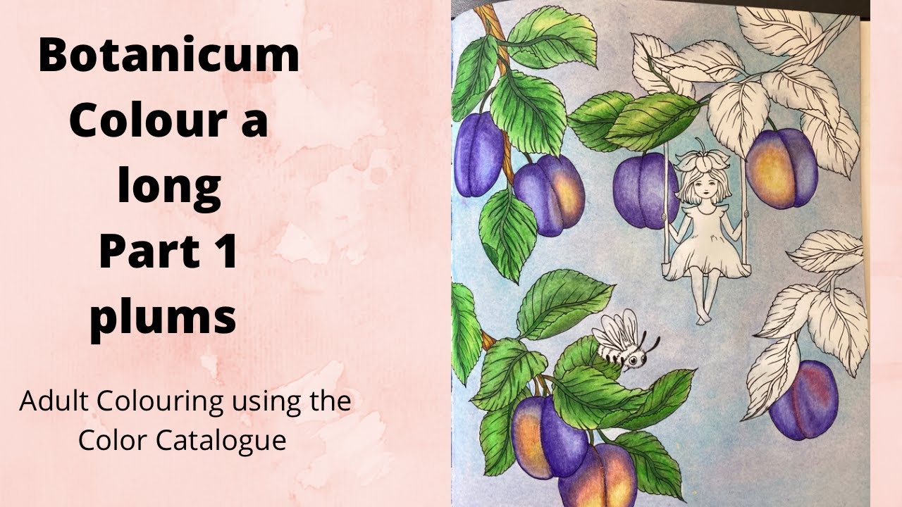 Botanicum - A colour a long part 1 - Plums