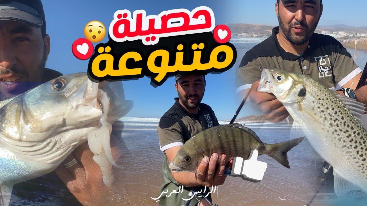 صيد سمك درعي وشوغو وابلاغ في يوم واحد fishing bass pro