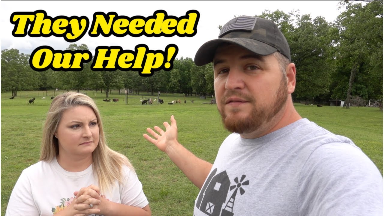 They ATTACKED Our Guard Dogs and The Whole Herd Of Kiko Goats!