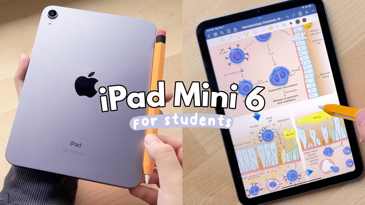 iPad Mini 6 для студентов — стоит ли его покупать? 🍎✏️