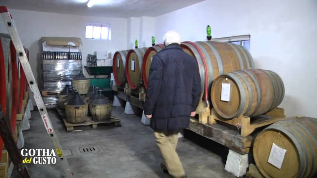 RONCADA, passione ed esperienza sui vini friulani