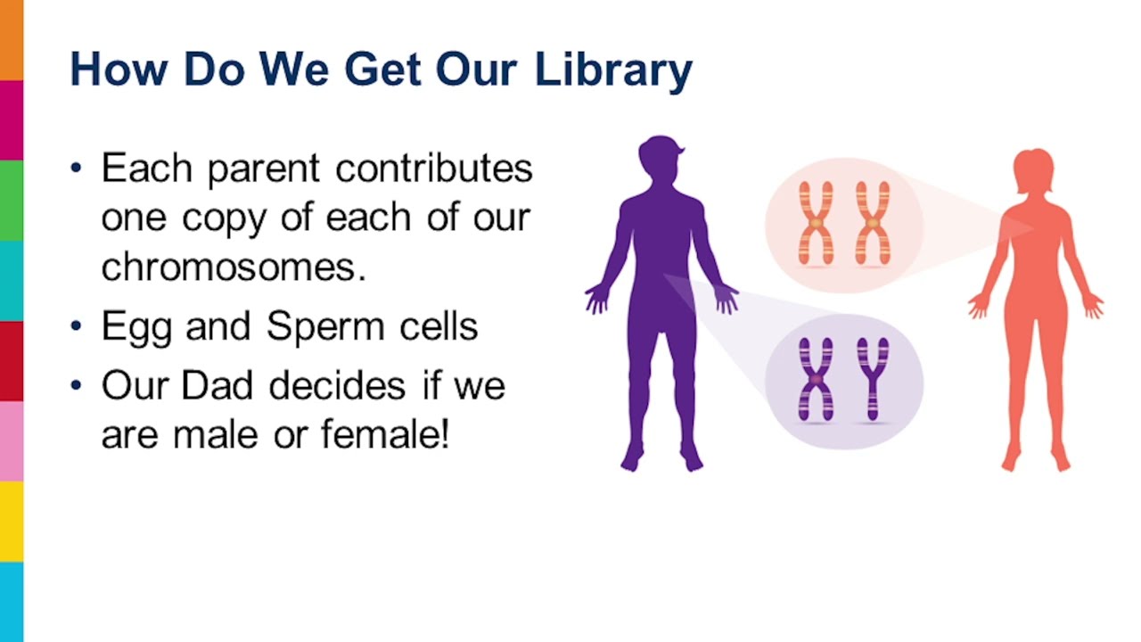 Genetics: Beyond the Basics