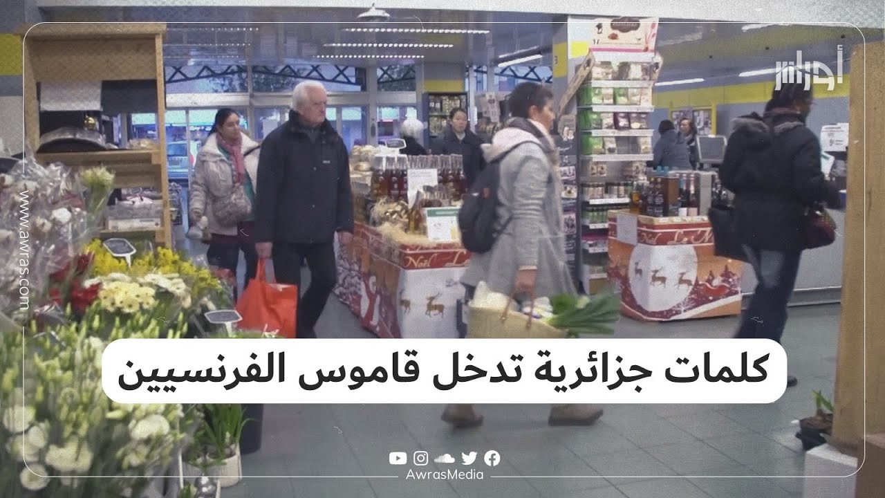 كلمات جزائرية تغزو قاموس الفرنسيين.. تابع الفيديو