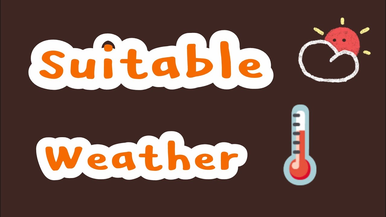 Which Weather Helps Students Focus More in Exams?