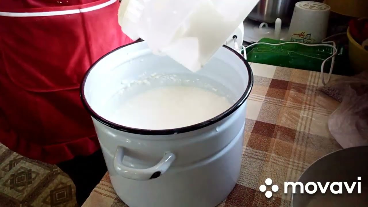 Мороженое на козьих сливках