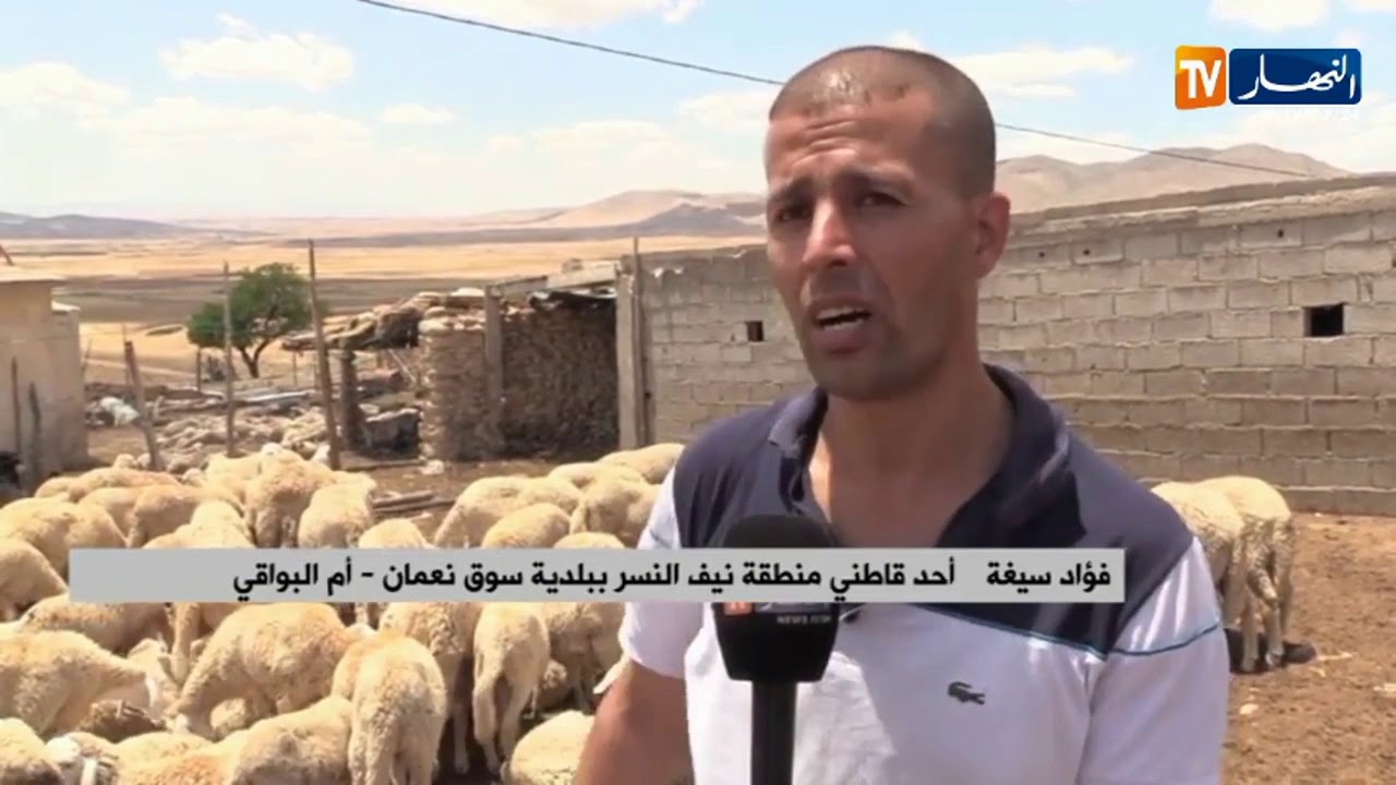 أم البواقي: سكان منطقة نيف النسر الجبلية يطالبون بتحسين أوضاعهم بسوق نعمان