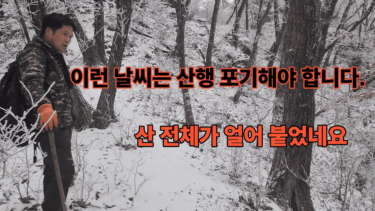 극한 날씨에 대물 뽕상황버섯 산행, 이것은 미쳤다!