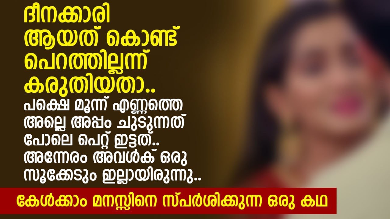 മൂന്ന് എണ്ണത്തെ അല്ലെ അപ്പം ചുടുന്നത് പോലെ പെറ്റ് ഇട്ടത്..അന്നേരം അവൾക് | MALAYALAM SHORT STORY