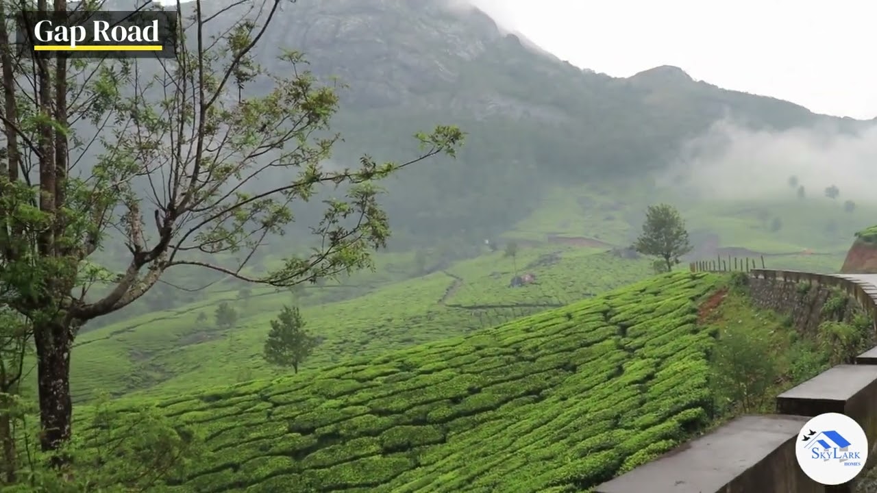 𝑽𝒊𝒆𝒘 𝑭𝒓𝒐𝒎 𝑮𝒂𝒑 𝑹𝒐𝒂𝒅, 𝑴𝒖𝒏𝒏𝒂𝒓❤️❤️ | Skylark Homes | Affordable Home Stay in Munnar