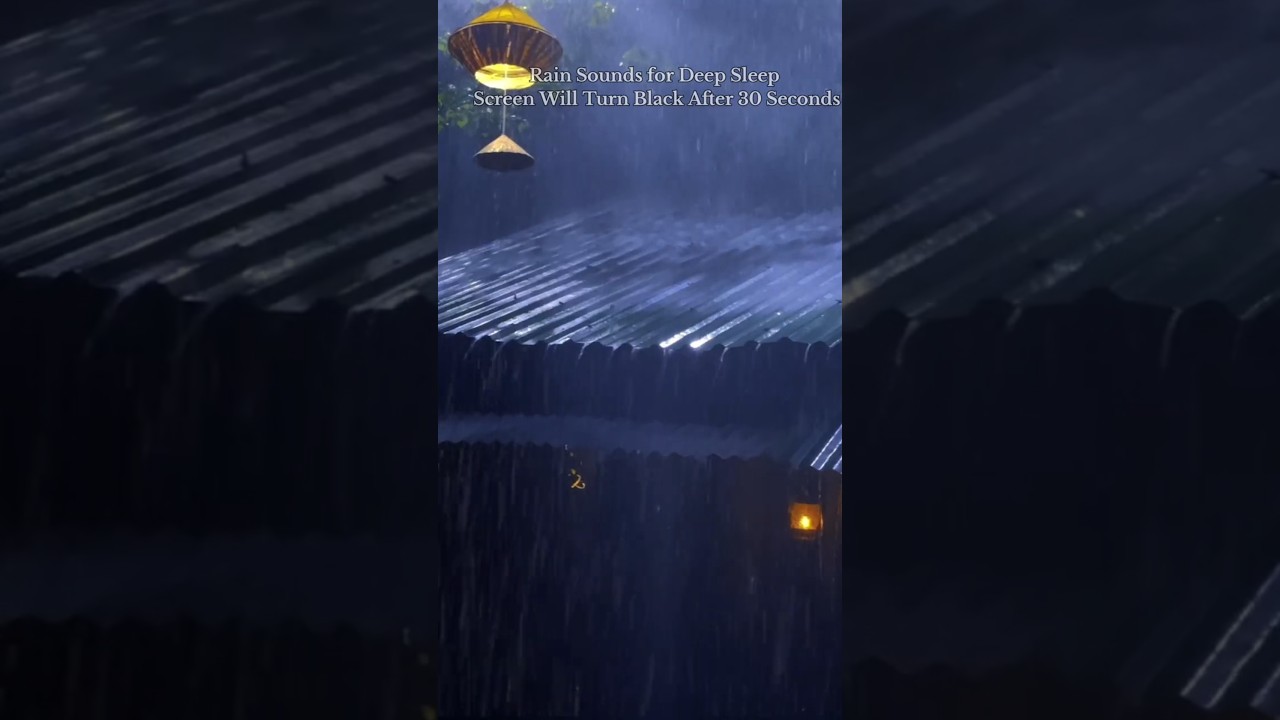 Deep Sleep Rain #Rain#shorts #youtubeshorts