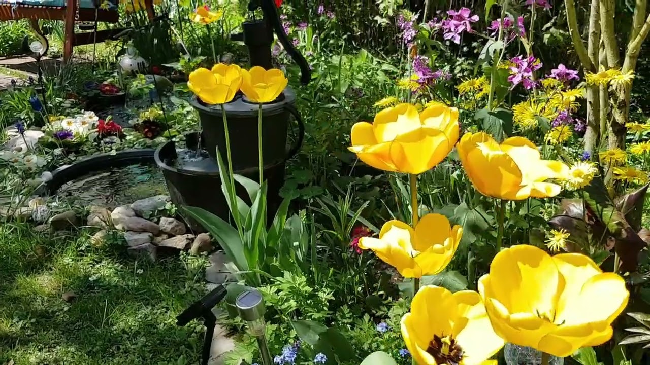Jardin en primavera 2021