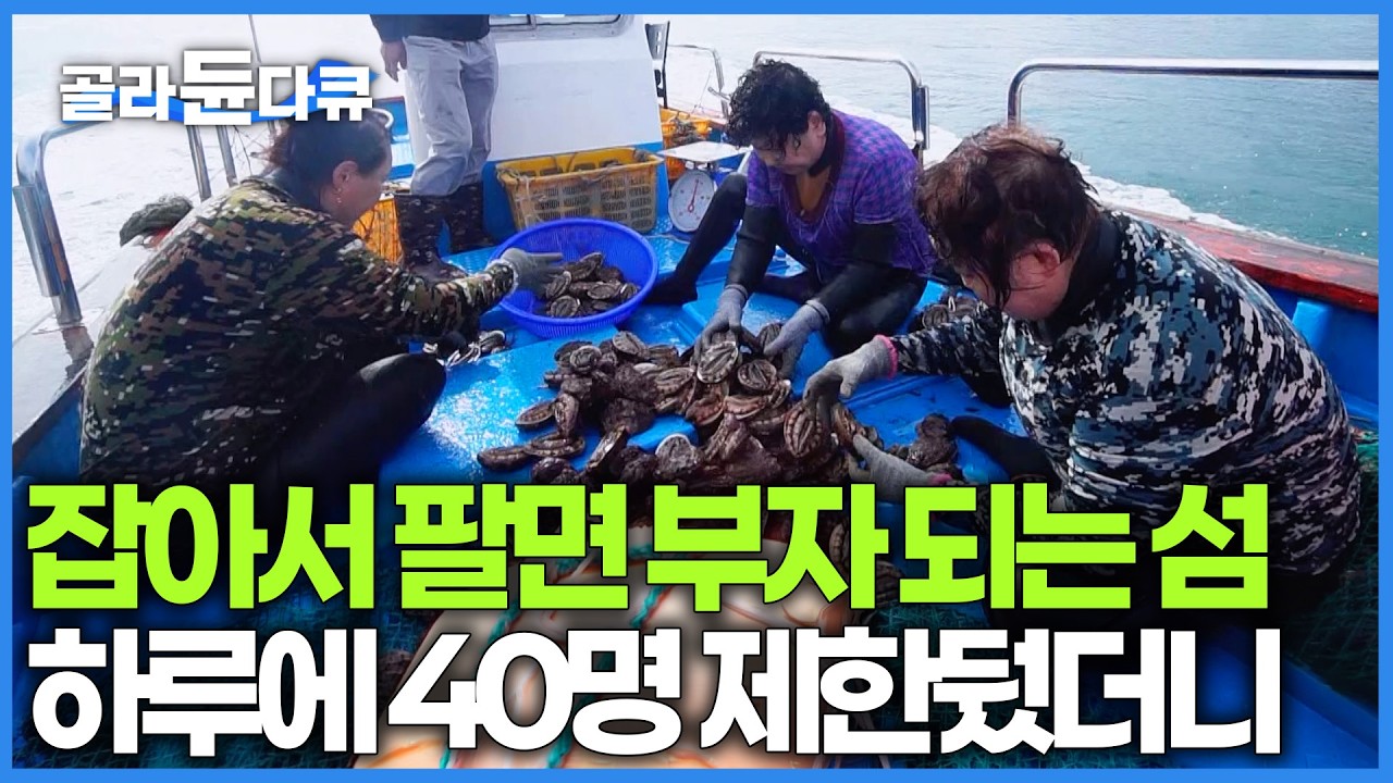 건졌다 하면 돈 되는 것 천지인데 아무나 못 들어간다. 1년 중에 단 72일만 허락되는 보물섬, 사실은 그럴 만한 이유가 있다는데｜한국기행｜#골라듄다큐