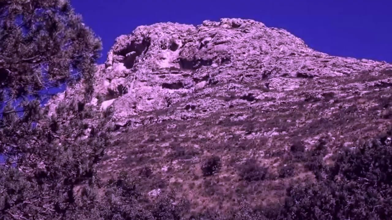 Chihuahuan Desert - 1997 Symposium