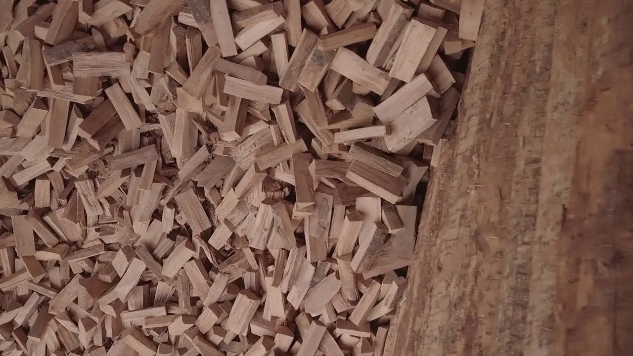 Le bois énergie, une ressource importante pour la Suisse. ABE-RTS