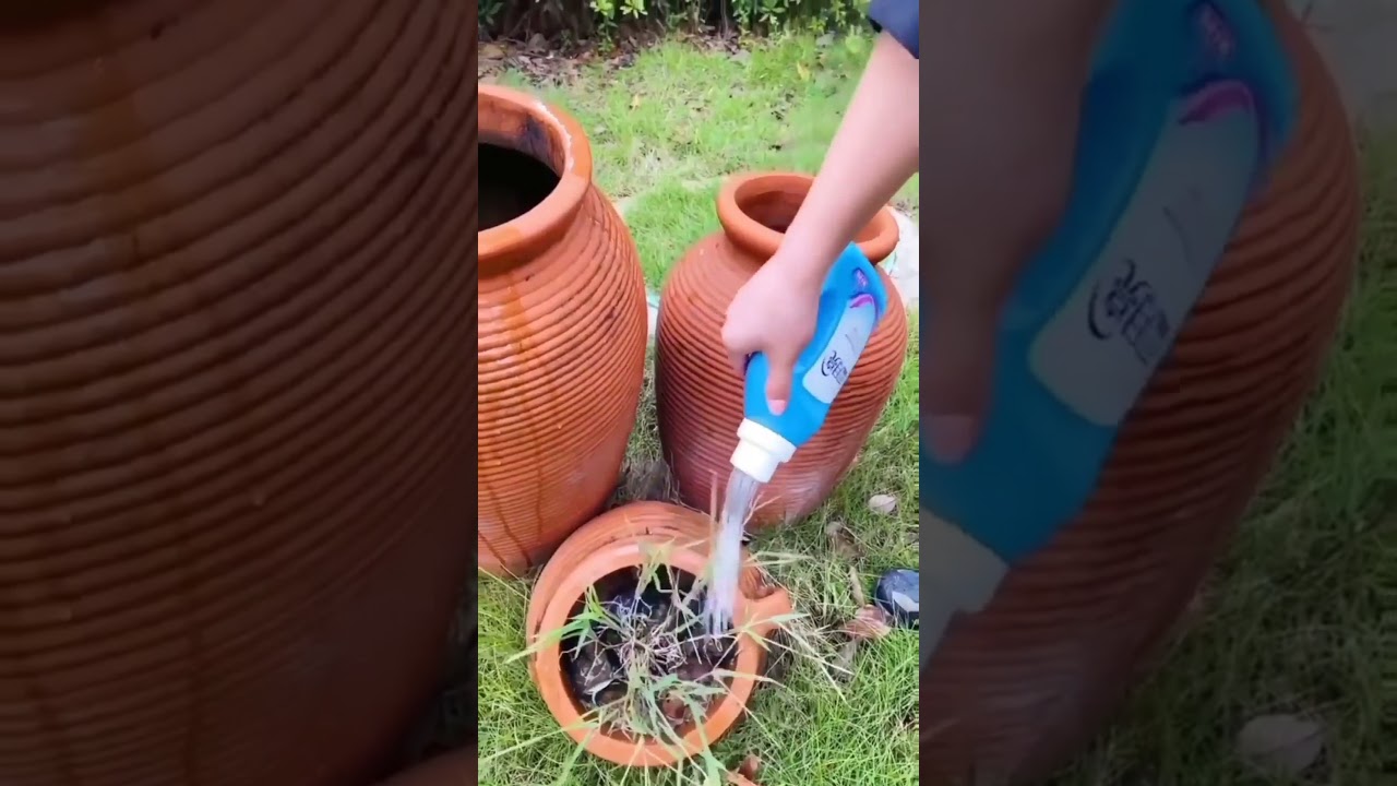regador para plantas fácil e prático reciclando garrafa de amaciante! 