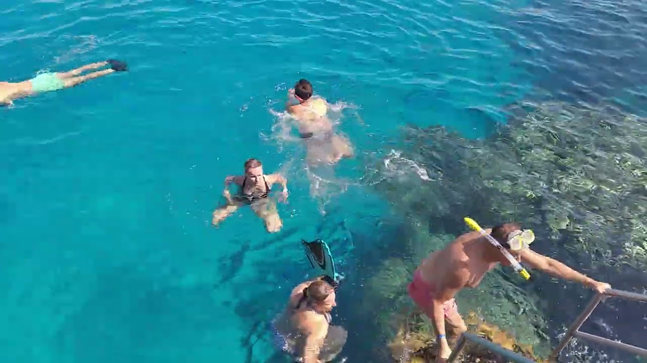 Egypt &scaron;norchlov&aacute;n&iacute;