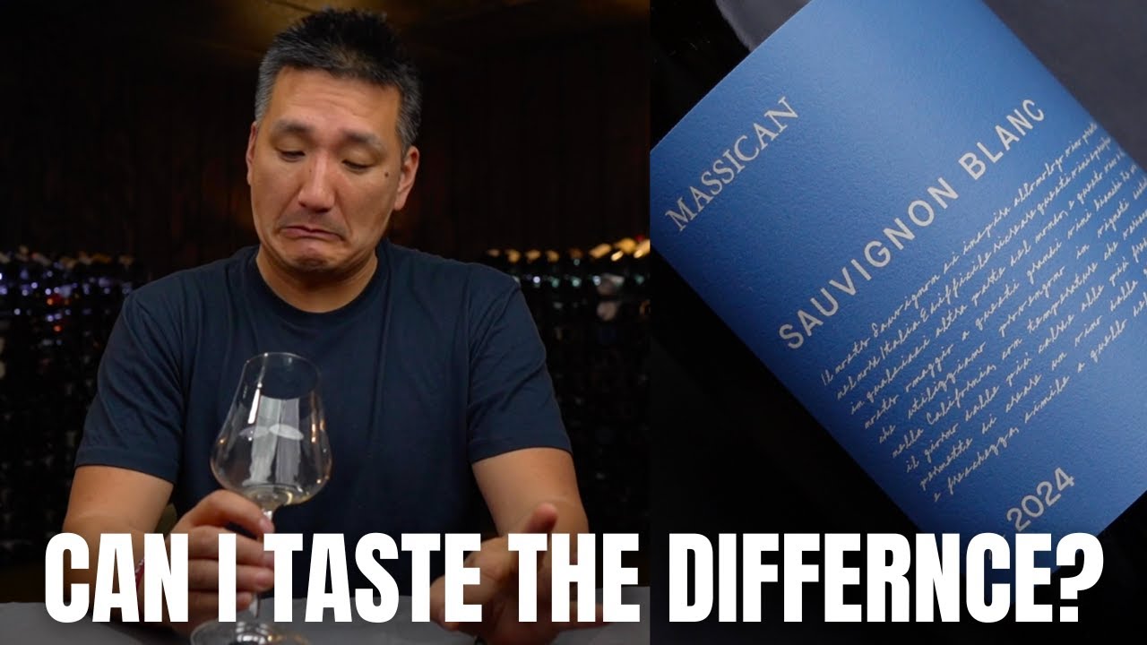 CHARDONNAY vs Pinot Grigio vs SAUVIGNON BLANC vs Riesling
