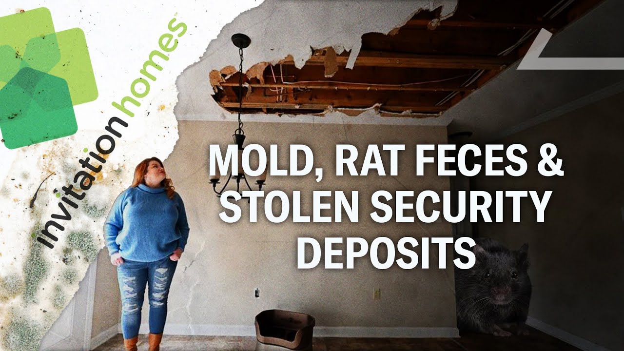 Corporate Landlords Are Taking Over Housing. The Consequences Are Horrifying