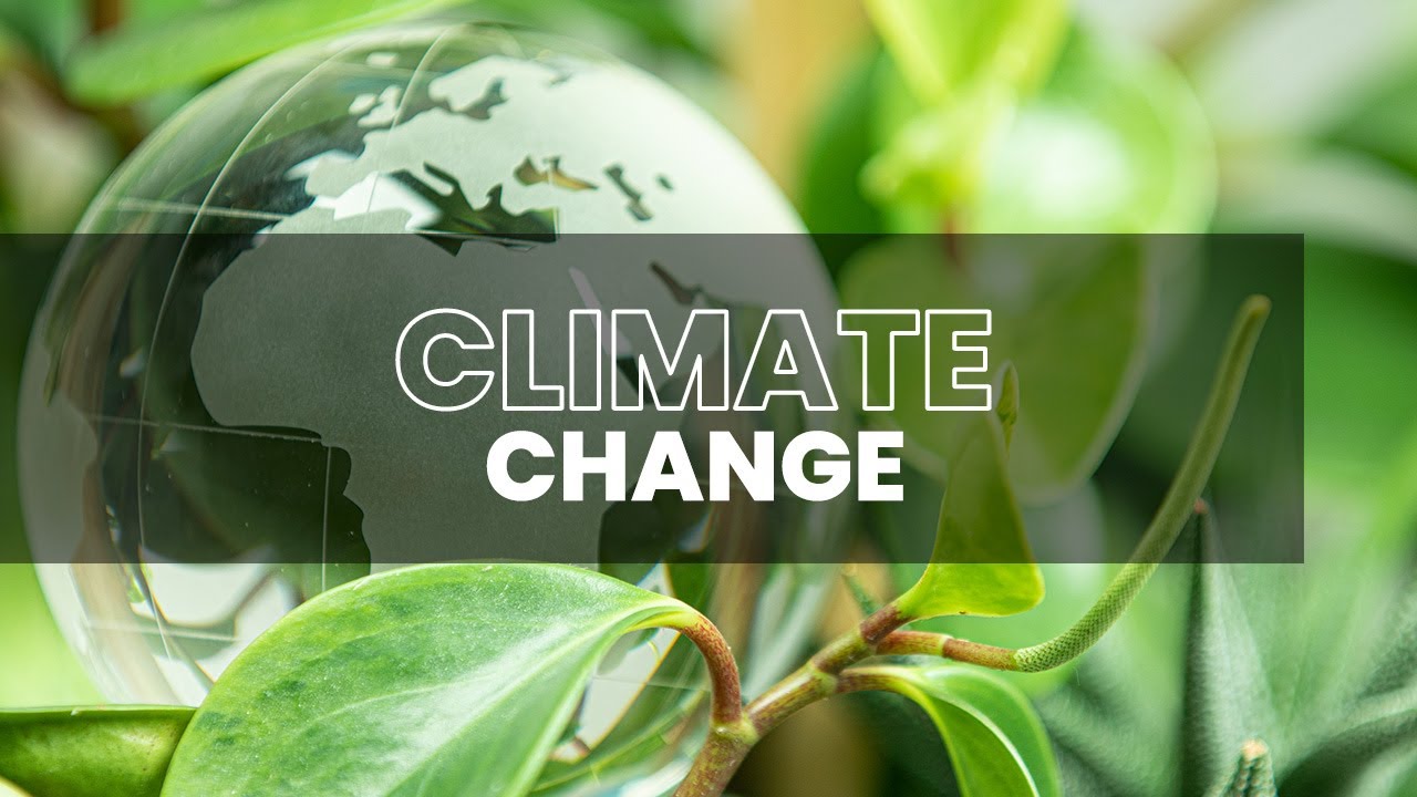 Qatar's Initiatives To Combat Climate Change