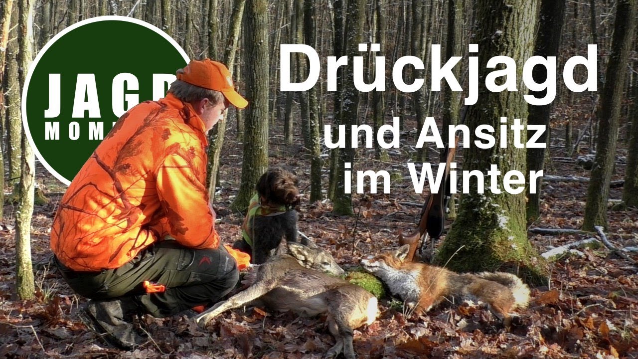 JagdMomente | Folge 6 | Dr&uuml;ckjagd & Ansitz im Winter