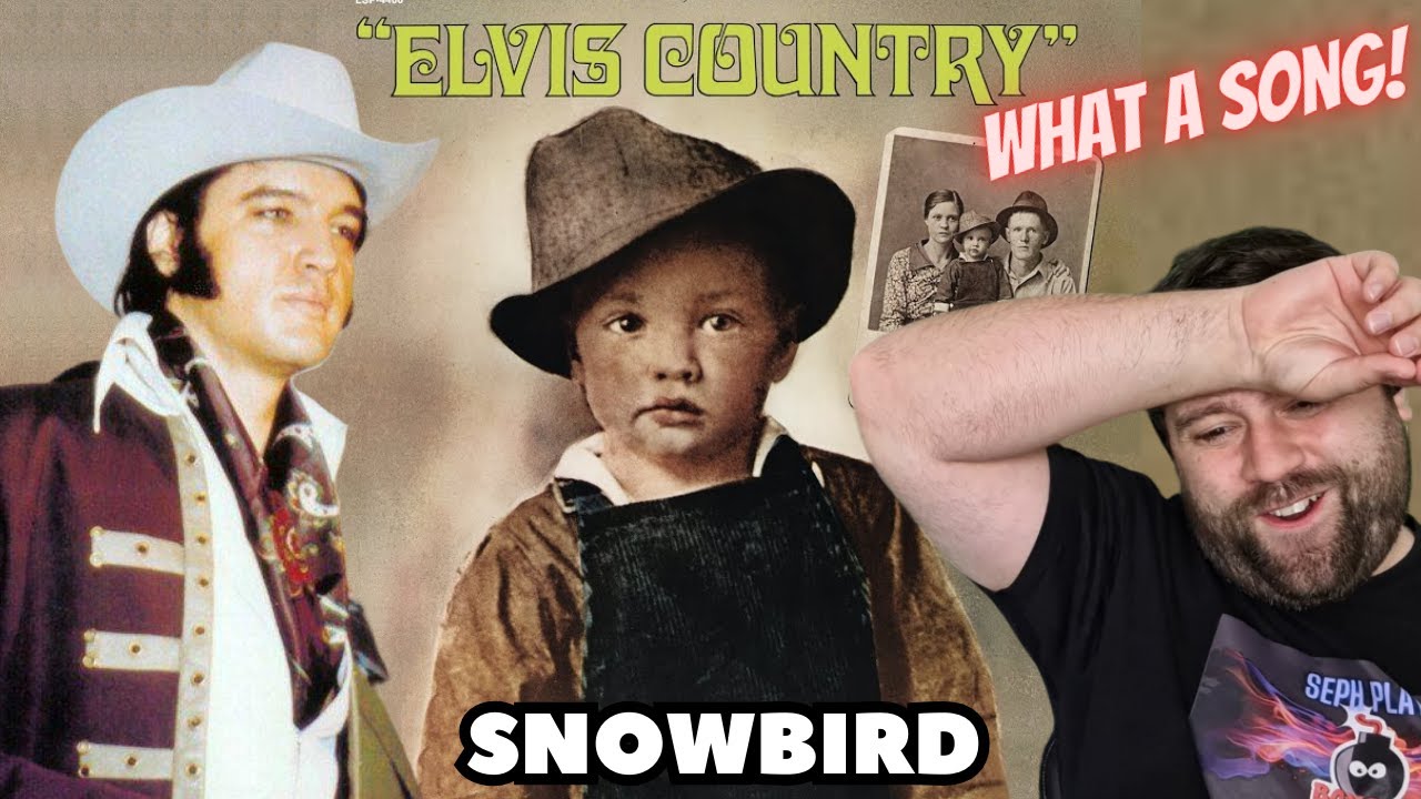 FIRST TIME HEARING Snowbird!! Elvis Presley | REACTION