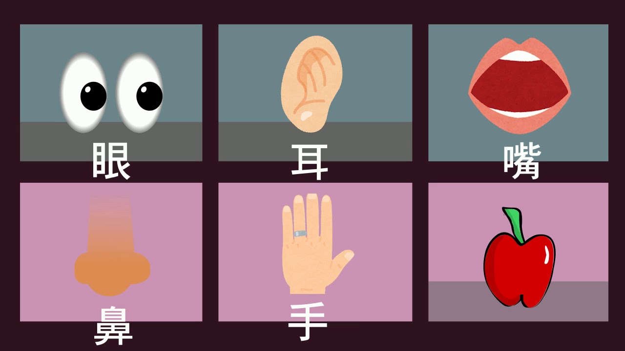 《它的中文是什麼？》－ 五感與器官（眼、耳、嘴、鼻、手）