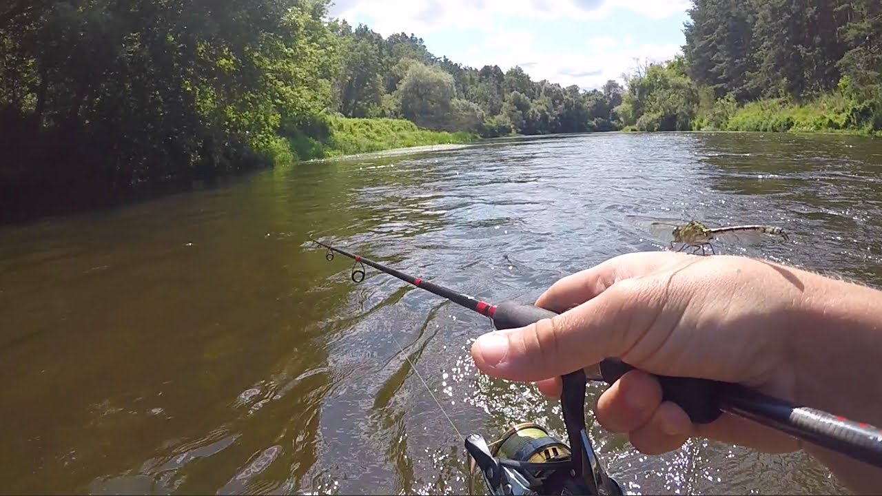 Šapalai Šventojoje. Žvejyba vidurdienį brendant upe (Aukštaitija)