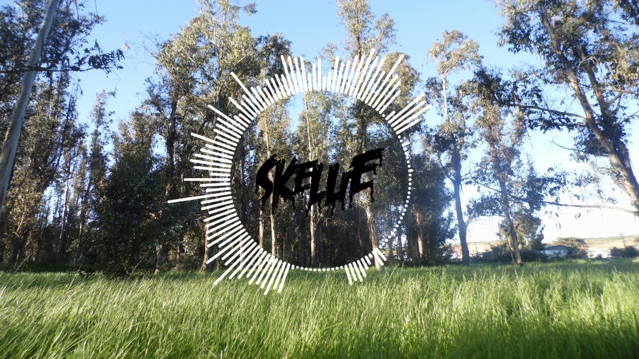 Mechanical Flowers - Happy Bullets (Original Mix) | DnB | DUBSTEP |
