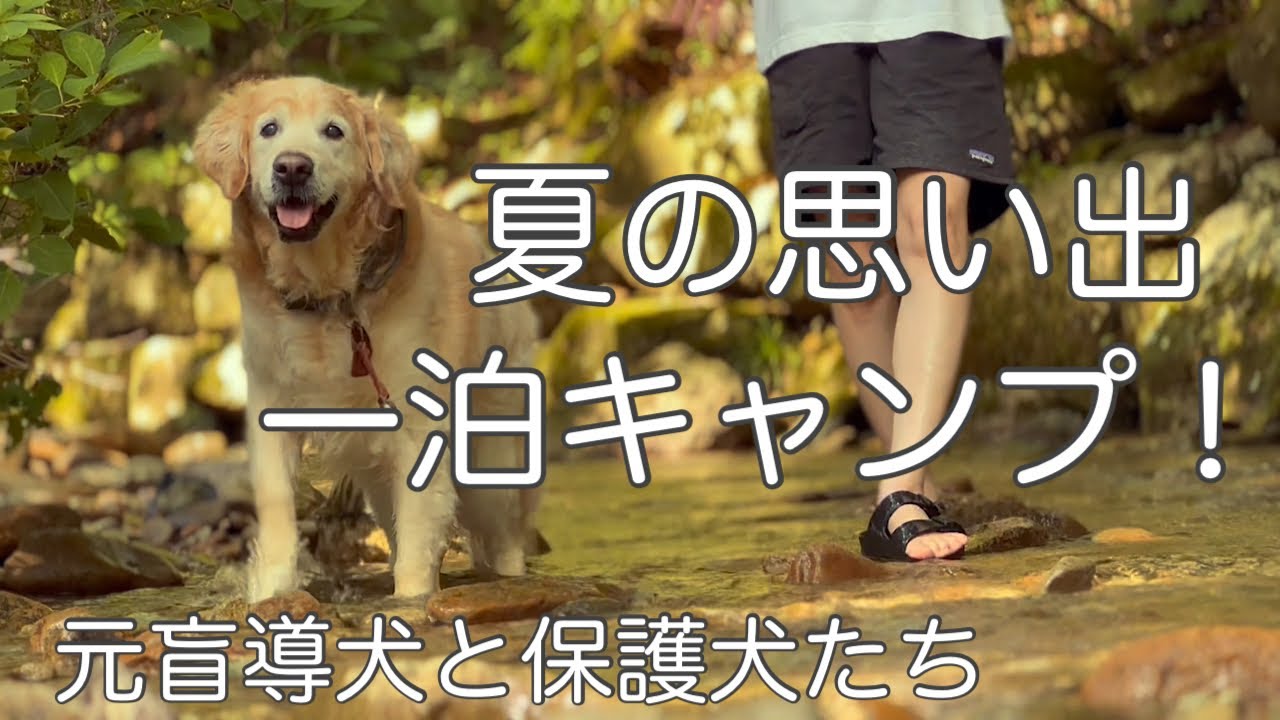 みんなで高原キャンプに行ってきました！