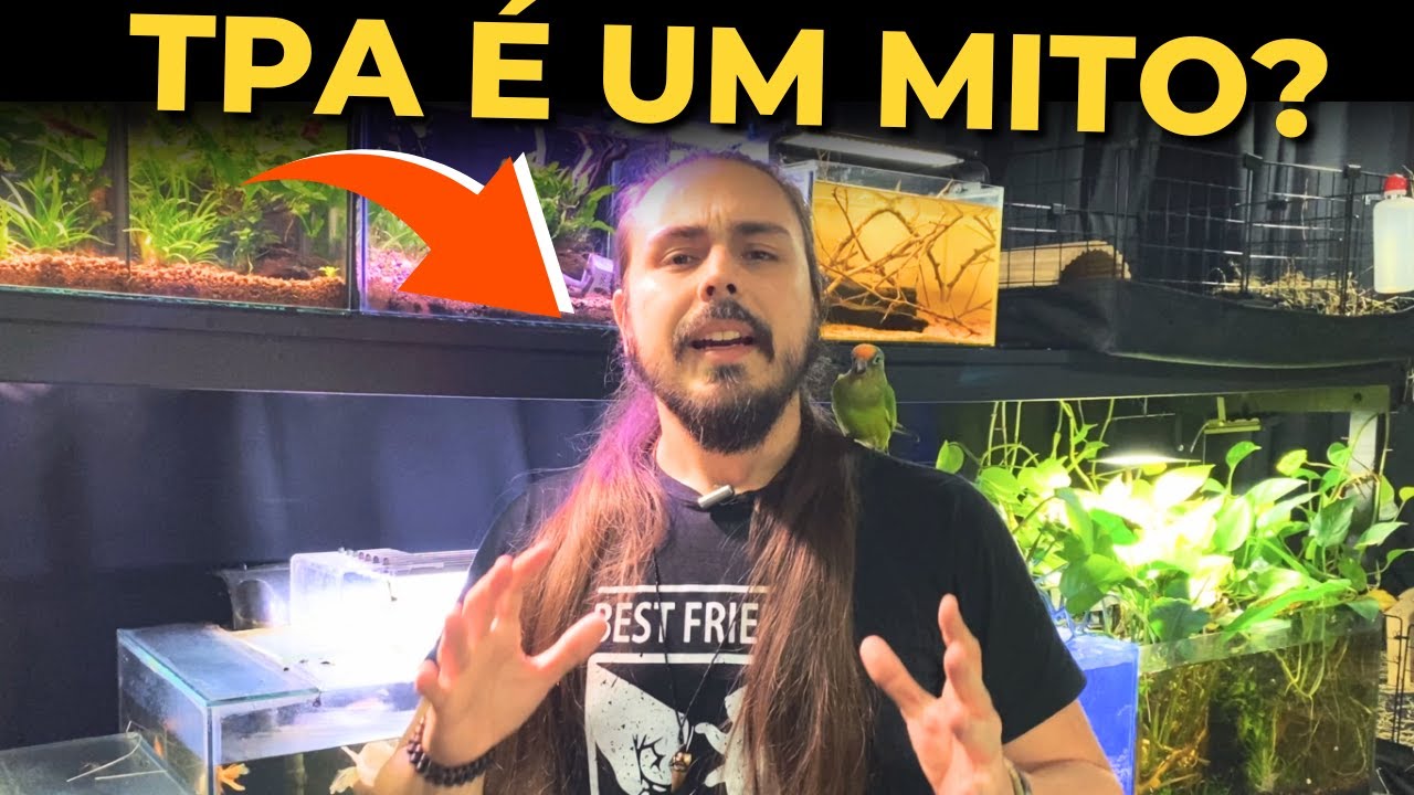 🔴PRECISA FAZER TPA EM AQUÁRIO? |Mr. Betta|