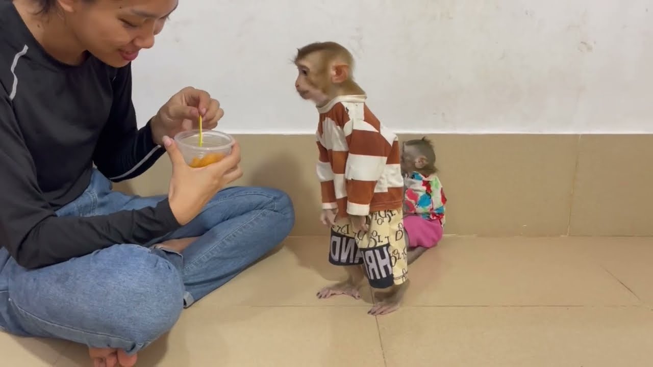 Sadd Koy tiny sit upsetinq with mom near the wall while Mim busy eat Jasmine 