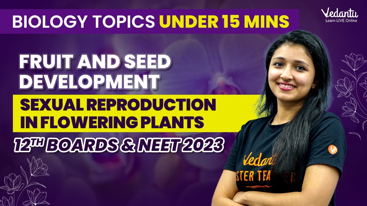 Fruit & Seed Development |Sexual Reproduction in Flowering Plants | CBSE Class 12 |