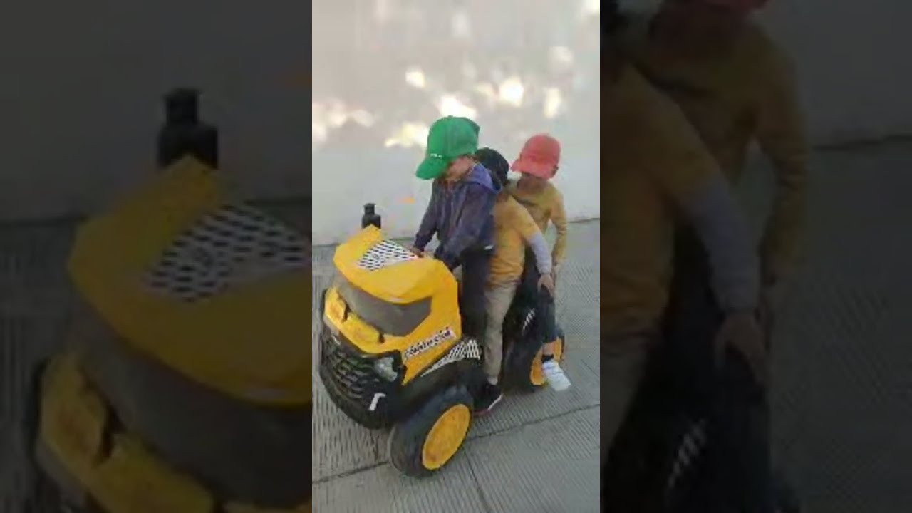 REINO ANIMAL  está en vivo