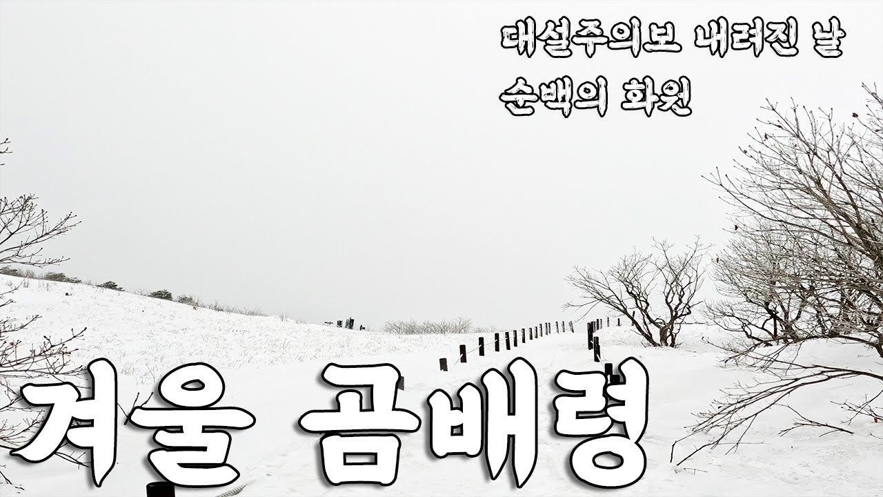 곰배령, 눈꽃 내리는 날, 죽기전에 꼭 가봐야 할 천상의 화원 겨울 곰배령 산림청 코스