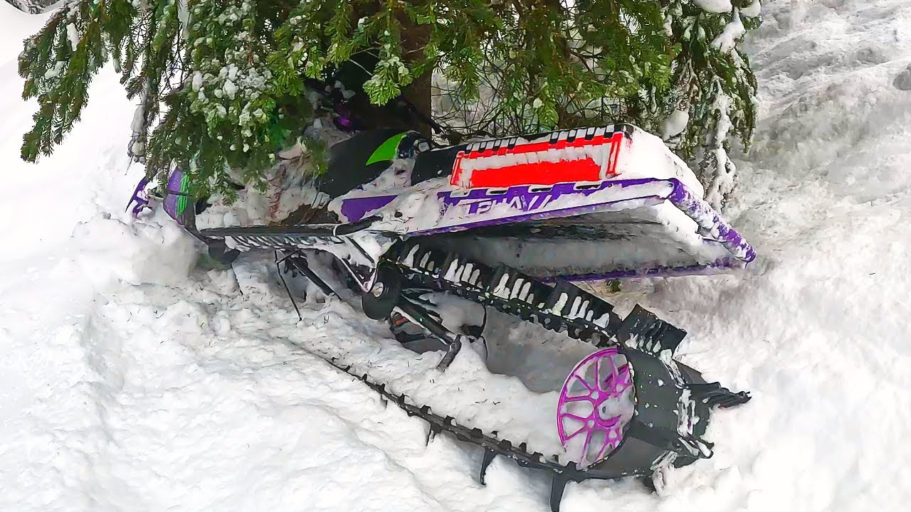 BACKCOUNTRY CARNAGE