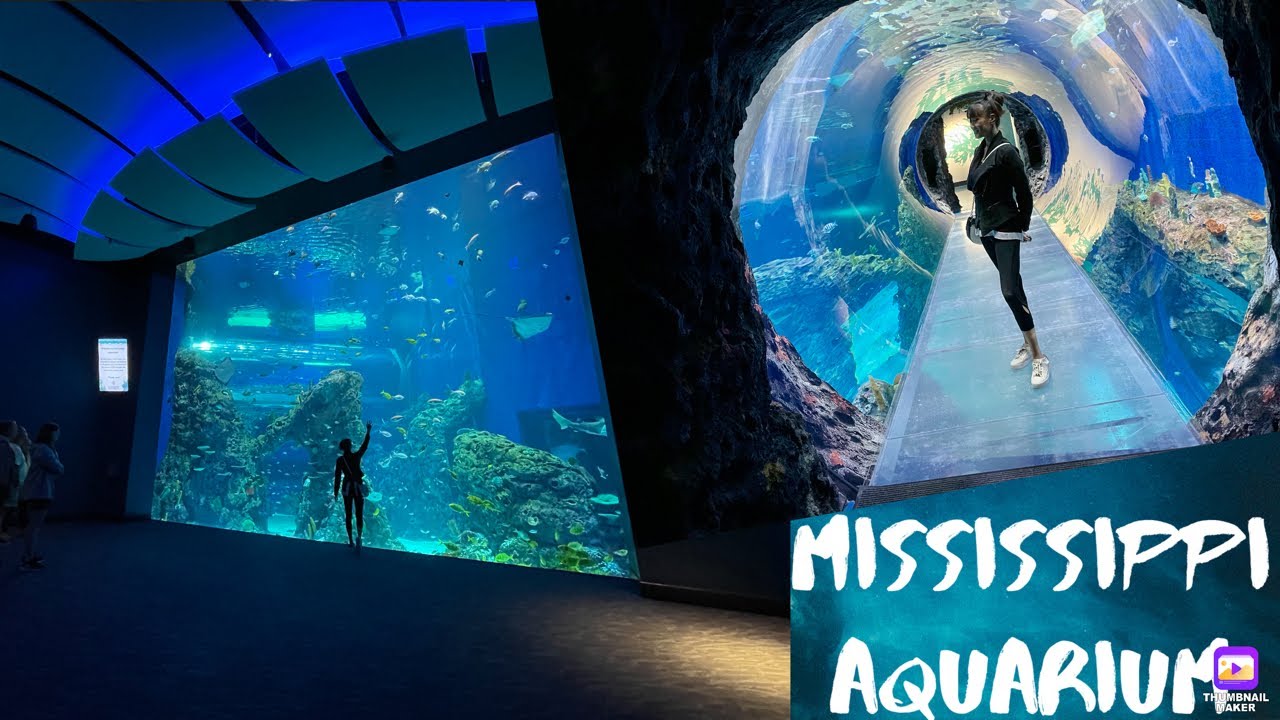 MISSISSIPPI AQUARIUM ( Gulfport)