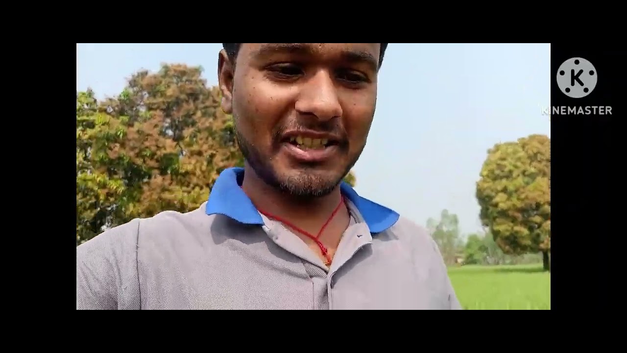 चलते हैं खेत और नहर तरफ like comment and share subscribe