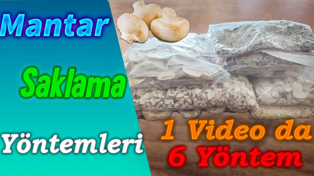 Mantar Nasıl Saklanır: Buzdolabında ve Derin Dondurucuda Saklama Yöntemi