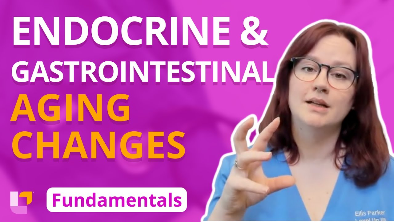 Endocrine and Gastrointestinal Aging Changes: Gerontology System - Fundamentals | @LevelUpRN