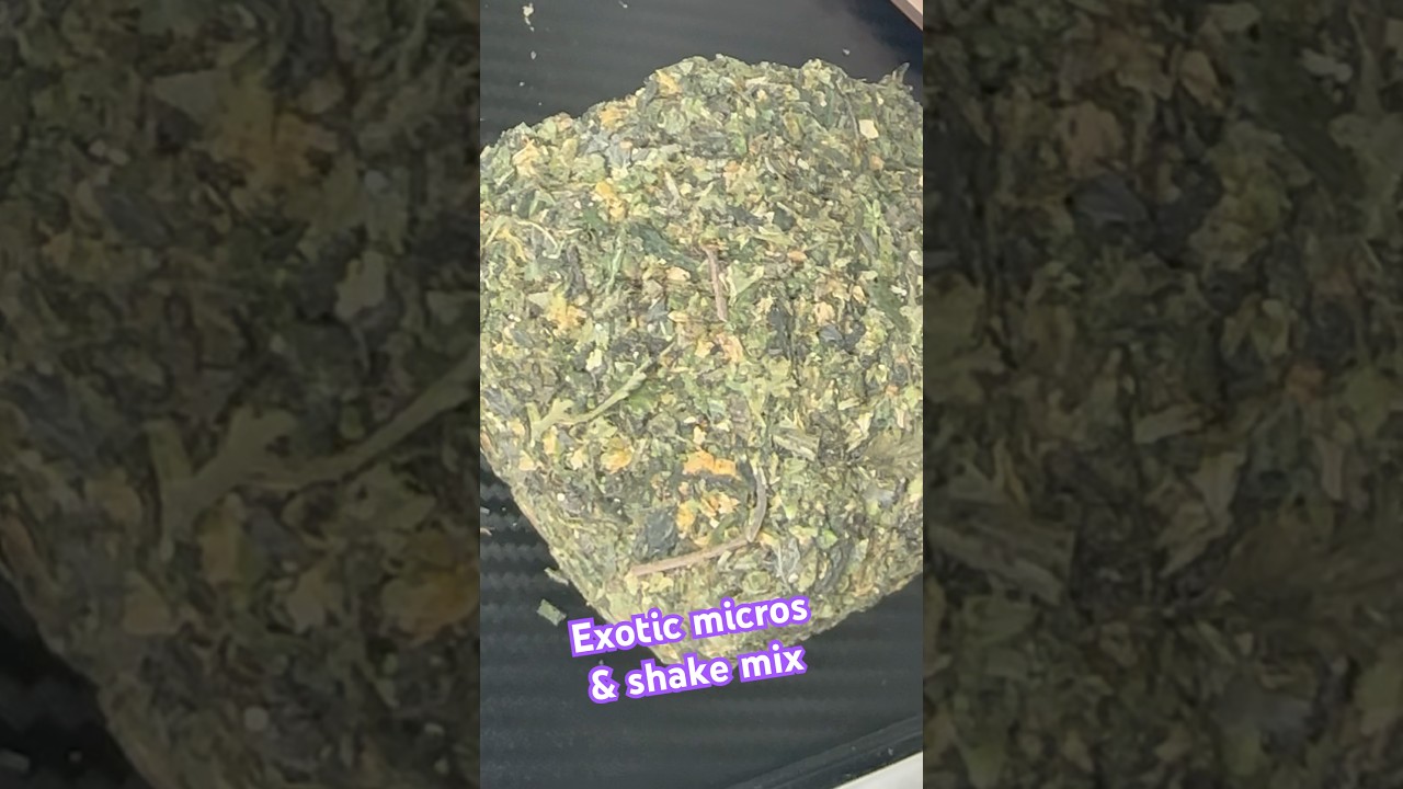 @PicaPuff Exotic micros & shake mix