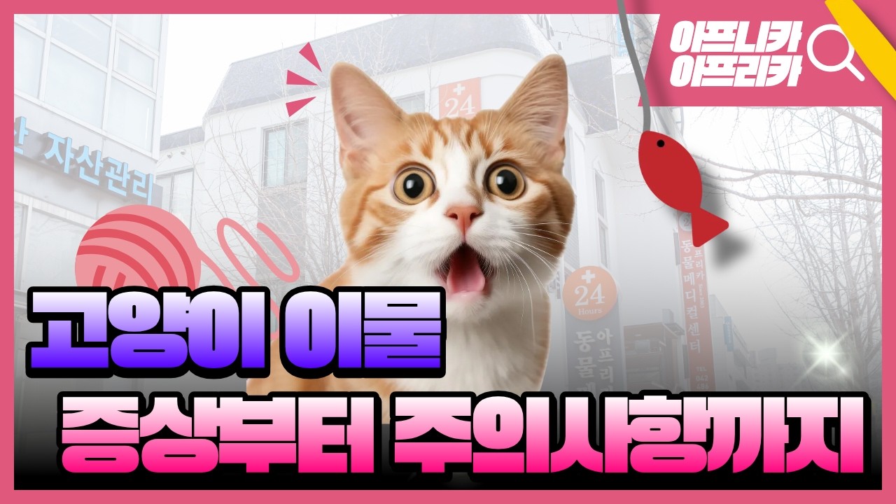 “고양이가 몰래 삼킨 ‘그것’… 절대 기다리지 마세요!”