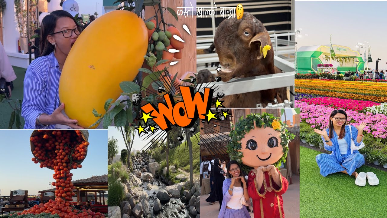 QATAR INTERNATIONAL AGRICULTURE EXHIBITION 🧑‍🌾 || FULl ENJOY 😉 BEAUTIFUL MOMENT 🤗