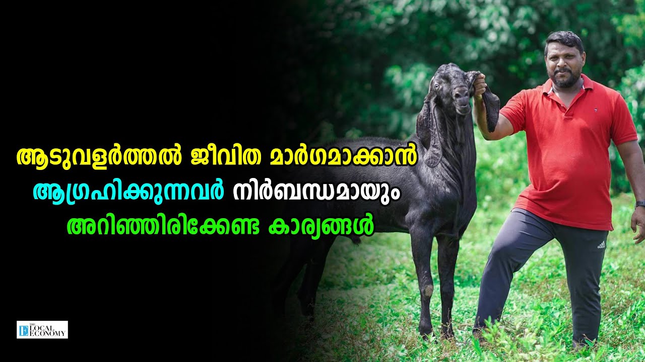 ആടുവളര്‍ത്തല്‍ ജീവിത മാര്‍ഗമാക്കാന്‍ ആഗ്രഹിക്കുന്നവര്‍ നിര്‍ബന്ധമായും അറിഞ്ഞിരിക്കേണ്ട കാര്യങ്ങള്‍