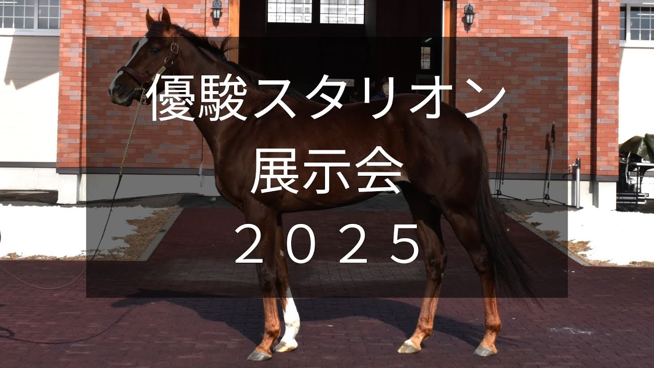 【優駿スタリオン展示会2025】マイルCS覇者セリフォスなど29頭が登場！