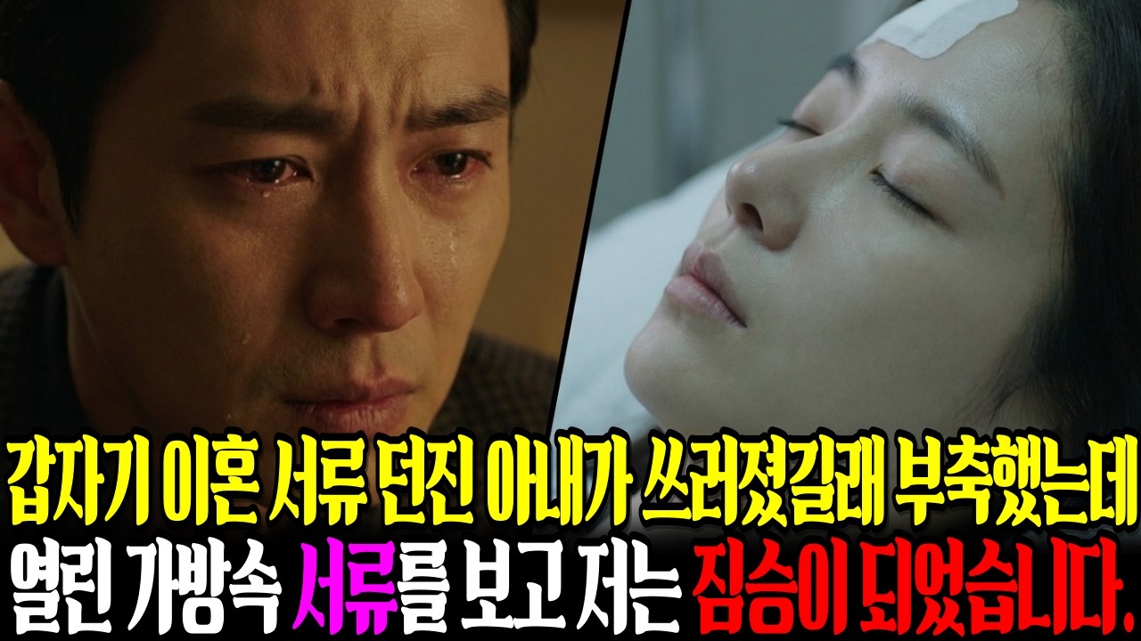 갑자기 이혼 서류 던진 아내가 쓰러졌길래 부축했는데 열린 가방속 서류를 보고 저는 짐승이 되었습니다.ㅣ감동사연ㅣ노후사연ㅣ오디오북ㅣ라디오사연