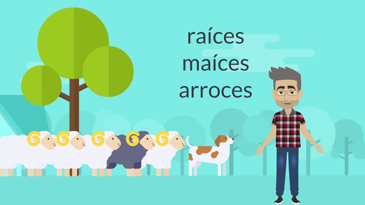 El plural de las palabras terminadas en Z