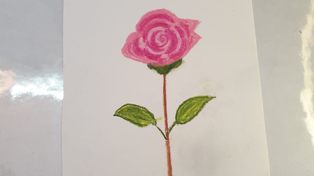 How to make easy 🌹 rose drawing by oil pastel colors