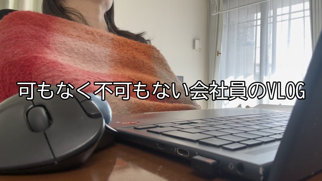 可もなく不可もない会社員の在宅勤務週間のvlog┃1日も出社しなかったり、ひろゆきの講演を聞いたり、コストコに行ったり、会議したりしています